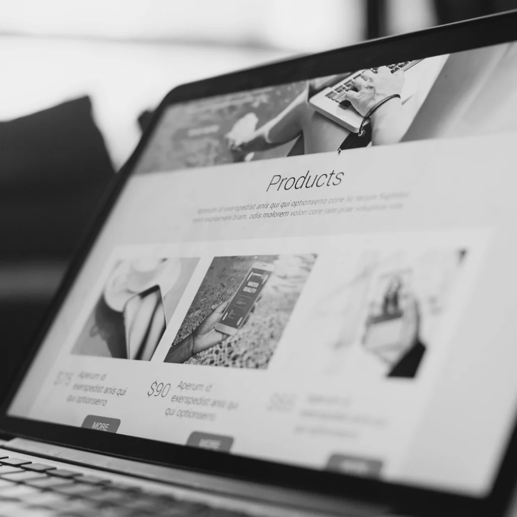 liezellaubscher web design hero